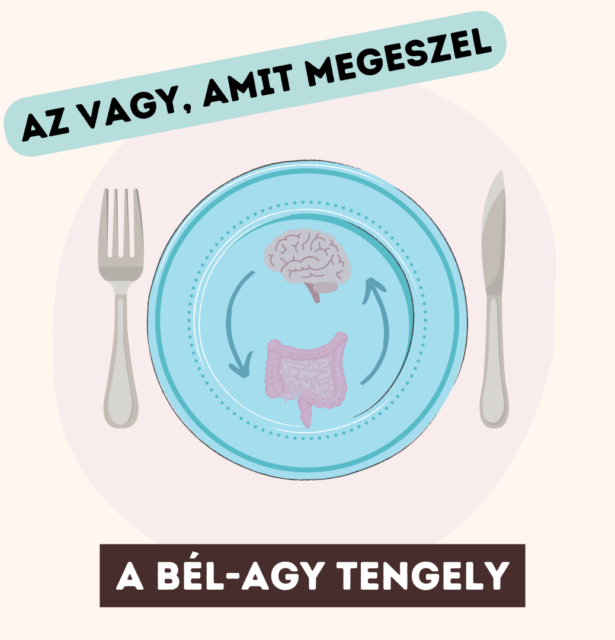 Az vagy, amit megeszel – A bél-agy tengely